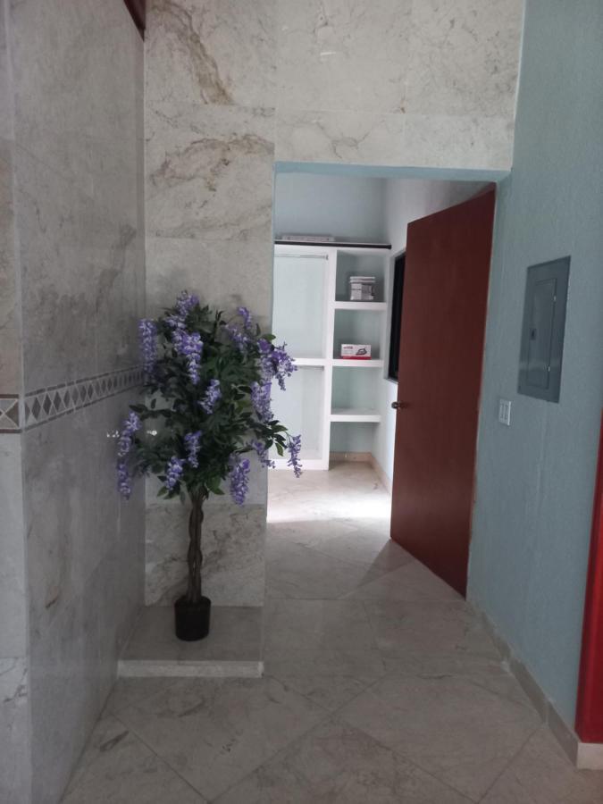 San José del CaboDepartamento Taydeアパートメント エクステリア 写真